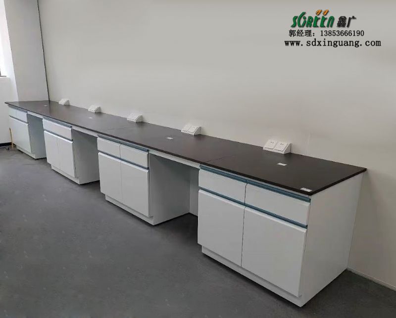 山東全鋼試驗臺實驗室工作臺通風櫥廠家