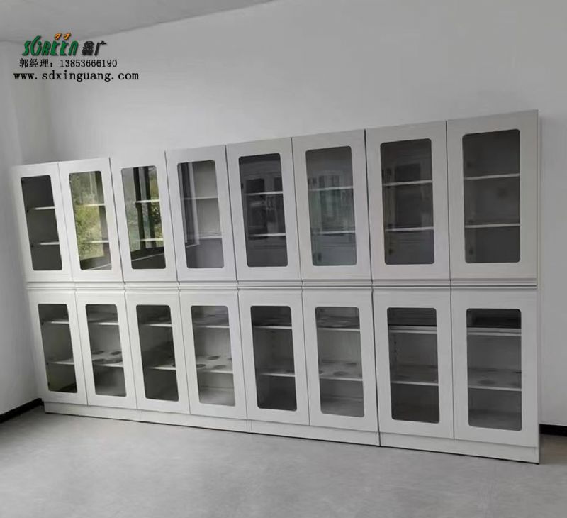 山東實驗臺全鋼試劑柜實驗室器皿柜實驗臺廠家