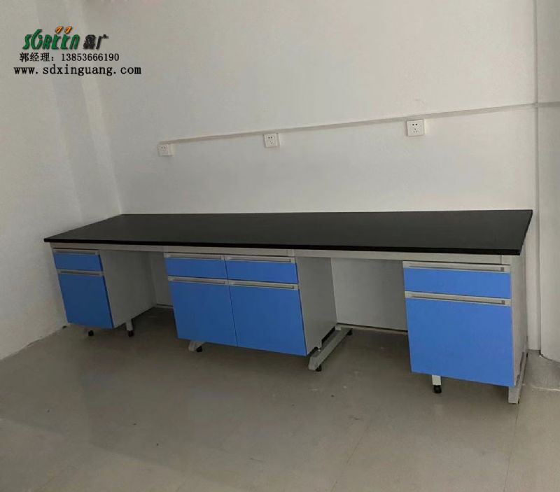 山東實驗室操作臺 實驗室實驗臺 鋼木材質耐腐蝕臺面