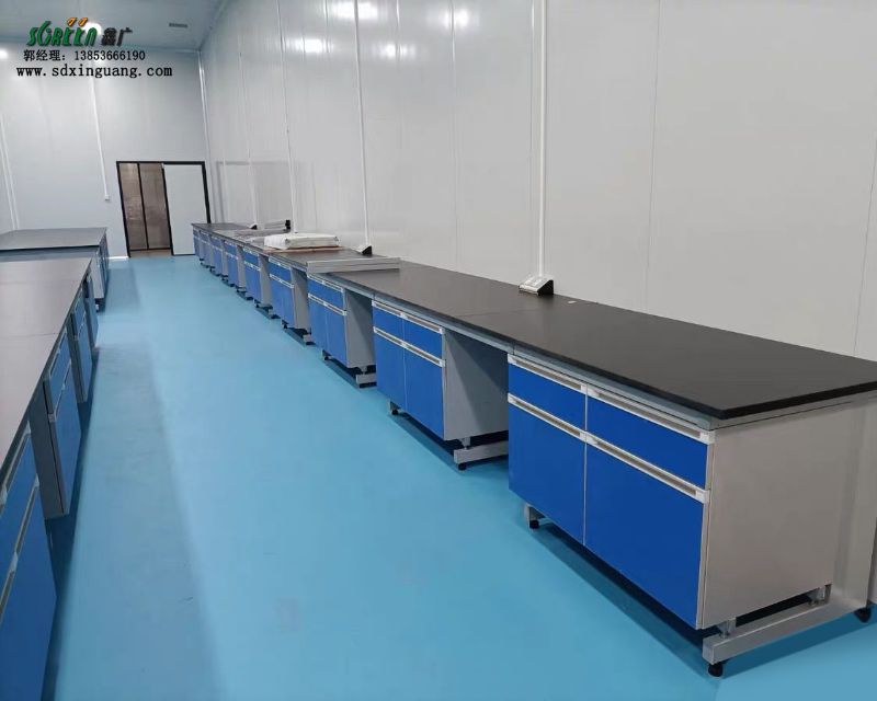 山東實驗臺 鋼木實驗臺 化驗室全鋼鋼木邊臺操作臺
