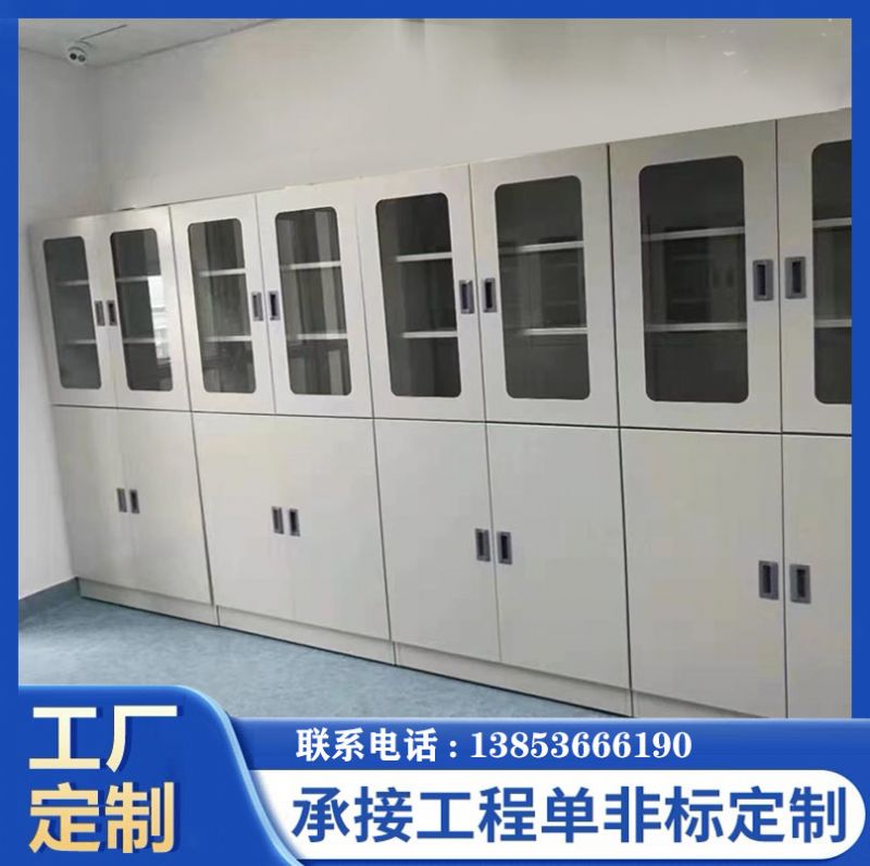 山東實(shí)驗(yàn)臺廠家全鋼器皿柜化學(xué)品柜 存儲柜